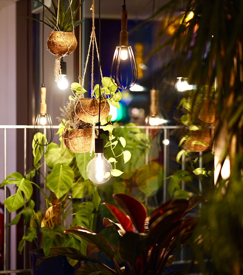 paisajismo en valencia