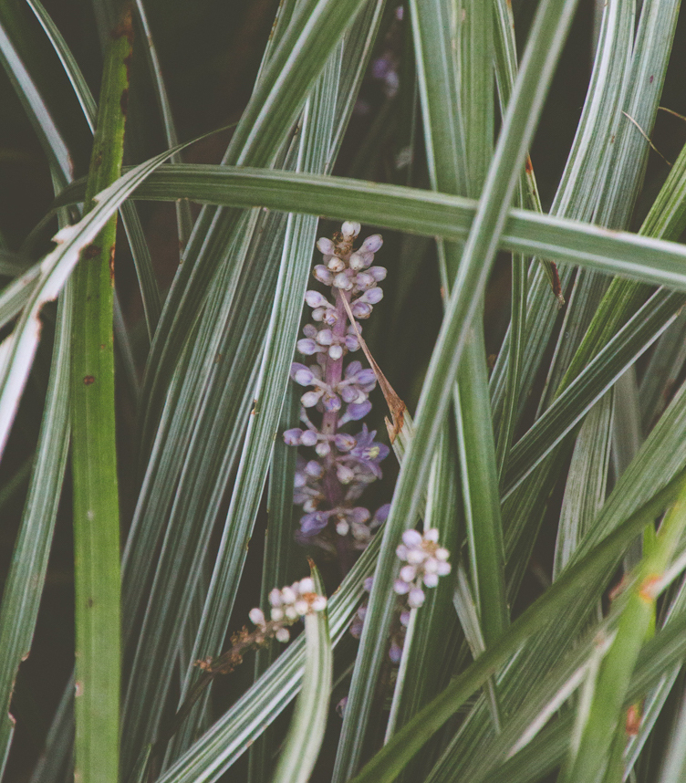 instalaciones de riego