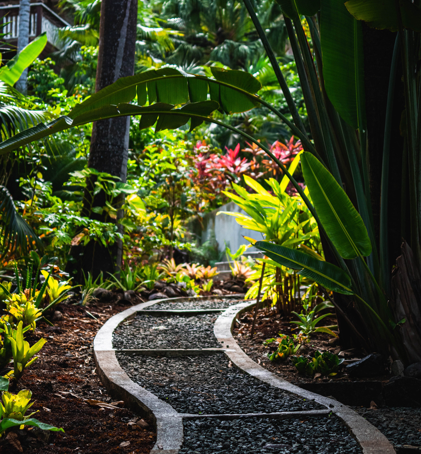 mantenimiento de jardines