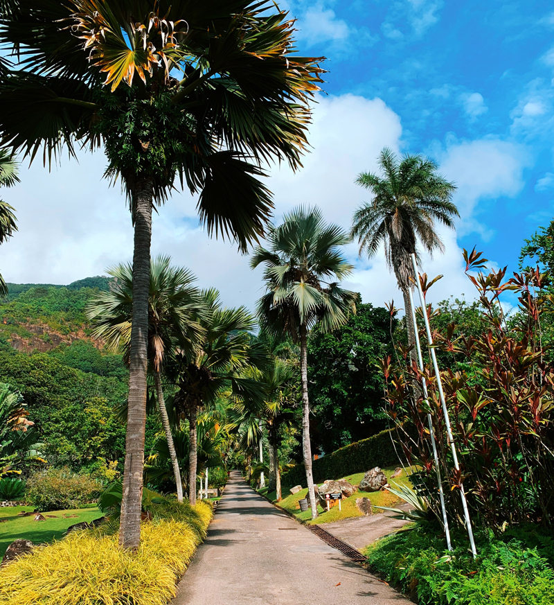 mantenimiento de jardines