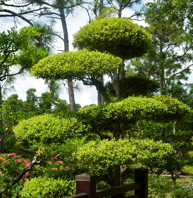 mantenimiento de jardines