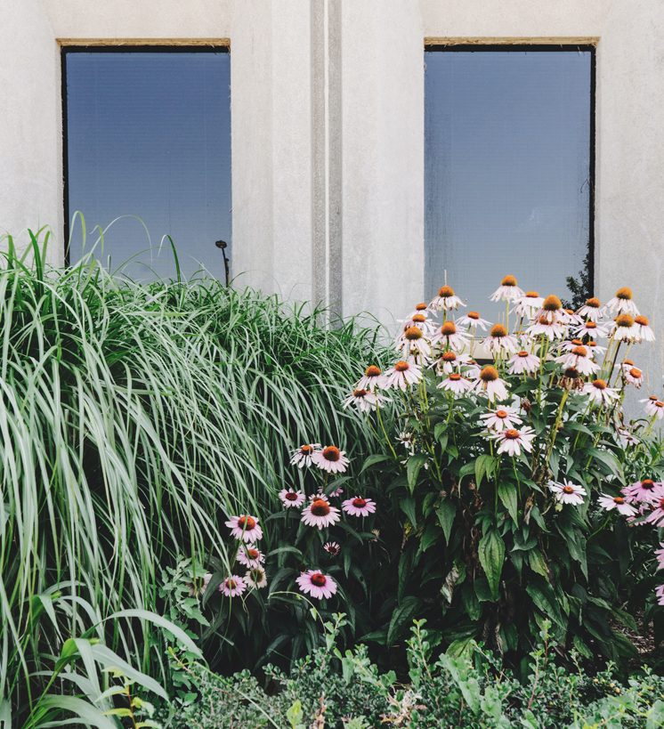 paisajismo en valencia